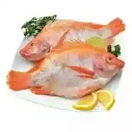 Mojarra